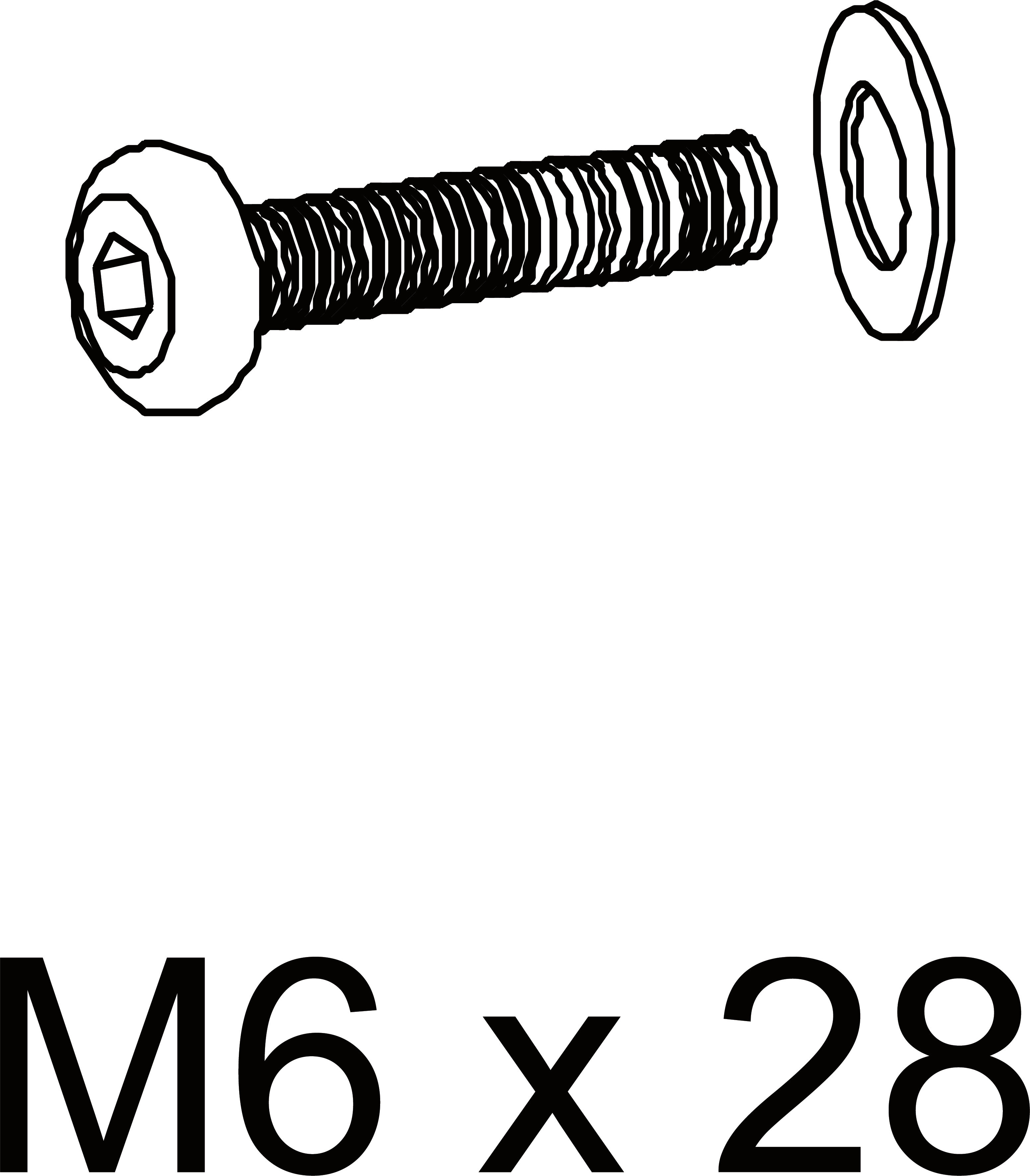 L) M6x28mm