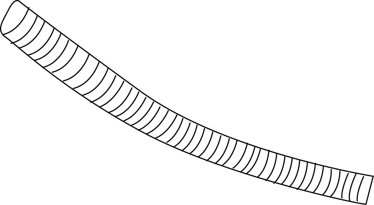 Parte P - Tubo di scarico flessibile